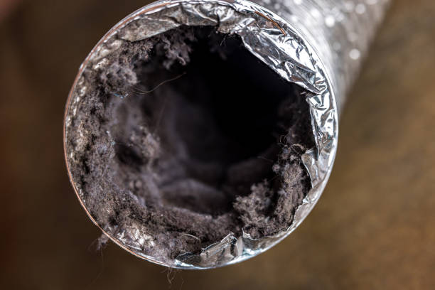 Best Best Air Duct Cleaning Company  in Evans, CO